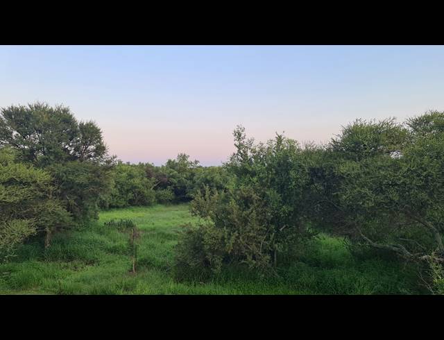 1HA VACANT LAND FOR SALE IN LEEUWFONTEIN ESTATE